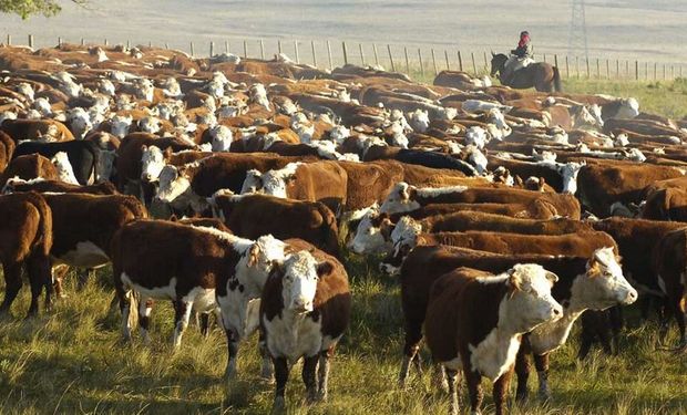 El desafío, para la próxima campaña, pasa por atraer inversiones.