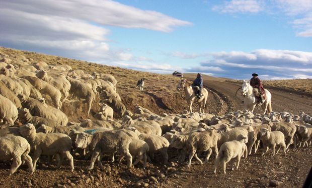 Potencialmente, el 5% de los suelos de la Patagonia extra-andina pueden soportar mallines.