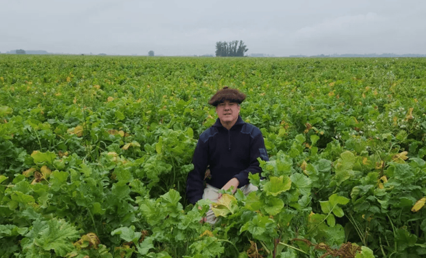 Con más de 1500 hectáreas de suelos "vivos" triplicaron la producción de carne: cómo la ganadería ya representa hasta el 25% del margen de la empresa