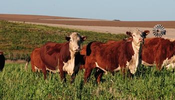 La caída del consumo de carne vacuna y las amenazas de intervención generan preocupación en el sector