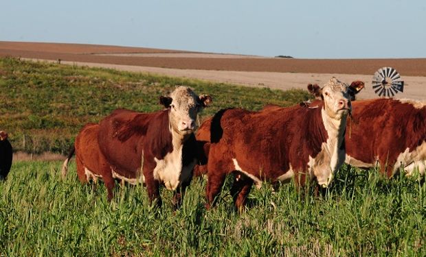 La caída del consumo de carne vacuna y las amenazas de intervención generan preocupación en el sector