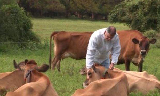 Avances en la aplicación de buenas prácticas para la cadena de bovinos para carne