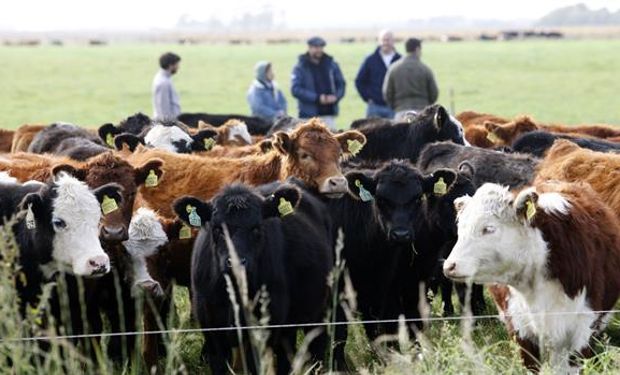 Los empresarios, entre el optimismo y la preocupación por el aumento de costos.