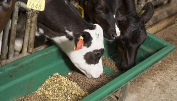 ¿Cómo será el futuro de la producción de alimentos balanceados?