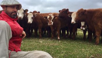 “Apostar a más”: así vive un ganadero uruguayo el cepo cárnico que decretó la Argentina
