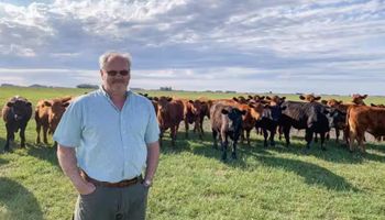 2025, año histórico para la ganadería: los números detrás de uno de los sectores ganadores del año