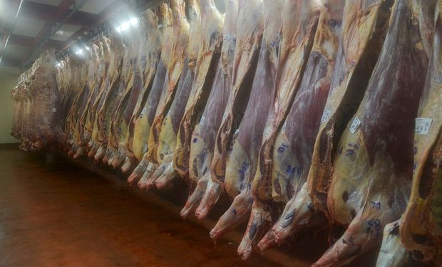 La producción de carne bovina cayó un 11 % y la faena de hembras tuvo un leve aumento