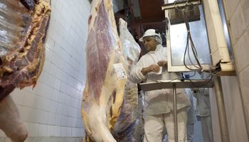 "Hace acordar a Moreno": denuncian que el Gobierno esconde el consumo de carne es el más bajo en 100 años