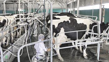 Productores lecheros deliberarán el martes en Villa María