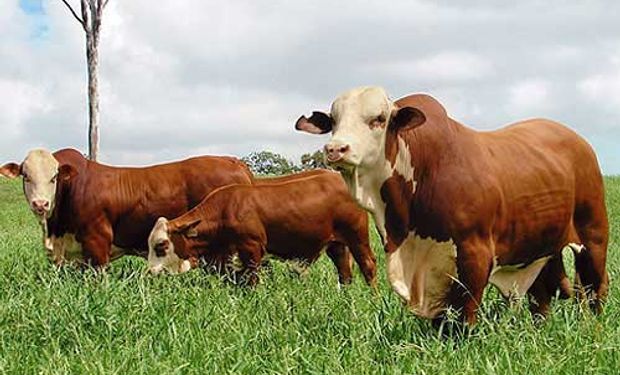 La agricultura: clave en la estabilidad de este planteo.