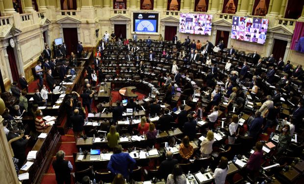 Diputados aprobó el proyecto de ley de educación ambiental: en qué consiste