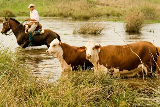 noticiaspuertosantacruz.com.ar - Imagen extraida de: https://news.agrofy.com.ar/noticia/211343/productores-islas-delta-parana-piden-que-se-levante-medida-que-atenta-produccion-2020