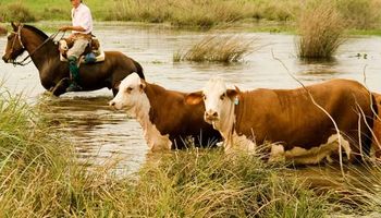 Productores de las islas del Delta del Paraná piden que se levante una medida que atenta contra la producción desde 2020