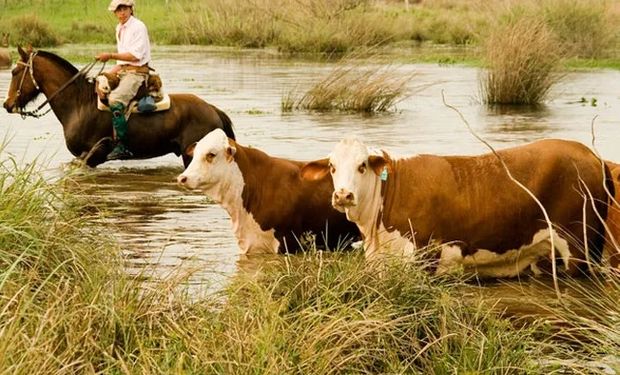 Productores de las islas del Delta del Paraná piden que se levante una medida que atenta contra la producción desde 2020