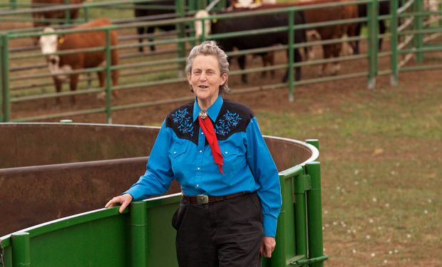 Cómo se volvió Temple Grandin una referente mundial en bienestar animal: sus consejos para el manejo del rodeo