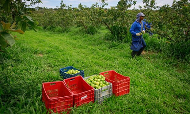 Notícias de Mineração Brasil - South Star Solicita Concessão De