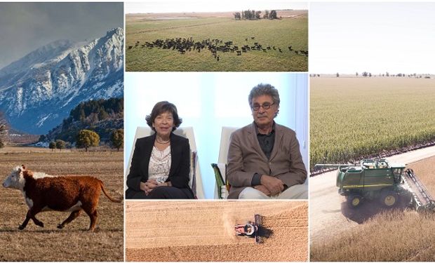 Sigman-Gold, el matrimonio que logra rindes extraordinarios: los secretos de las 100.000 hectáreas que producen en Argentina