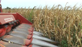 Advierten sobre faltantes de gasoil para la cosecha de soja y maíz