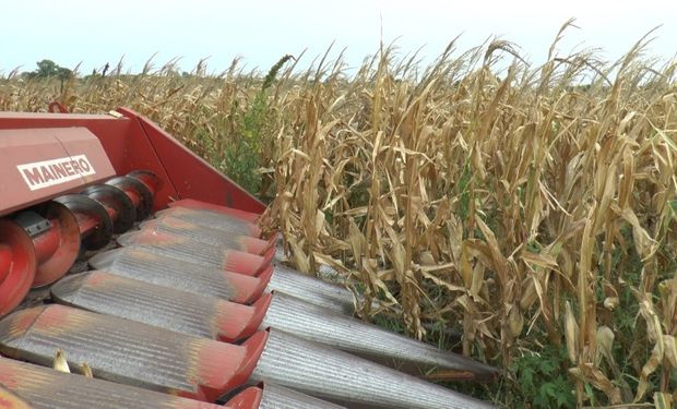 Advierten sobre faltantes de gasoil para la cosecha de soja y maíz