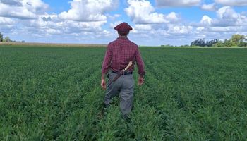 ¿Vuela el precio de la hectárea en Argentina? El cambio que prepara el Gobierno que impactará en el campo