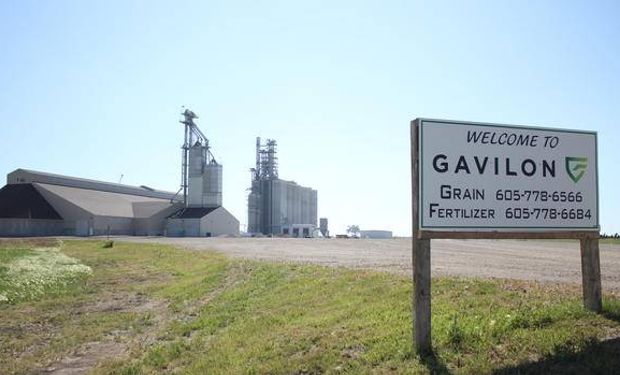 Comercio de granos: Viterra se expande y adquiere una empresa de capitales japoneses