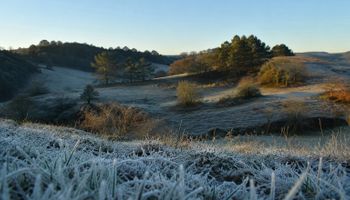 Alerta de frio atinge 2,6 mil municípios; Sul e Sudeste podem registrar geadas