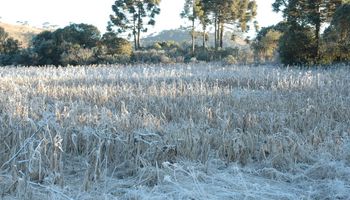 Frio, geada e calor sufocante: fim de julho será de extremos no Brasil
