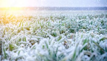 Cidade de São Paulo registra uma das menores temperaturas da história: -1,7°C