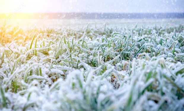 Cidade de São Paulo registra uma das menores temperaturas da história: -1,7°C