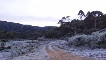 Afinal, até quando vai a onda de frio no Brasil?