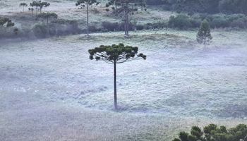 Frente fria derruba temperaturas no Sul enquanto calor atinge o Centro-Oeste