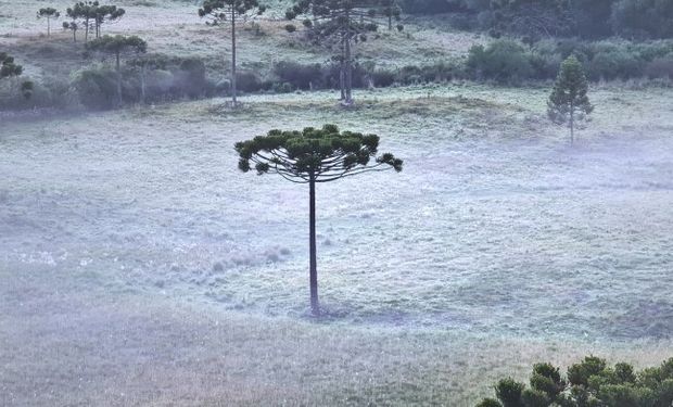 Frente fria derruba temperaturas no Sul enquanto calor atinge o Centro-Oeste