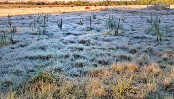 Massa Polar traz geada, neve e frio intenso ao Sul e Sudeste