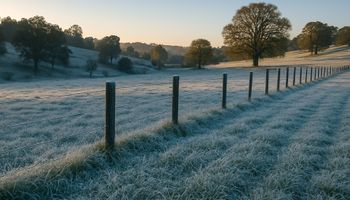 Geada avança no Sul e mantém frio intenso; instabilidade segue no Sudeste