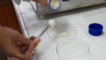 Investigadores argentinos desarrollan geles de leche, una solución al problema mundial de deficiencia nutricional de calcio
