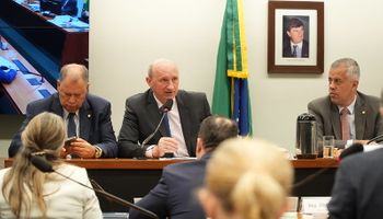 Câmara aprova pedido de investigação do Cade e presidente da FPA defende CPI do Arroz
