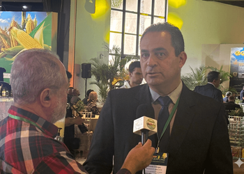 “Um ano razoável, outro ruim”: cadeia do leite vive crise cíclica e perde produtores