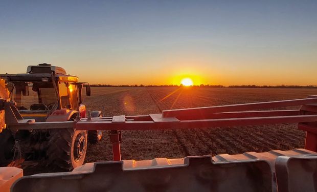 Más lluvias en el campo: "Quizá sea necesario reconsiderar el avance de la siembra y hacer postergaciones"