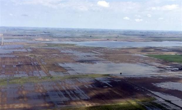 “El agua también ocasiona una baja en el peso del ganado, estimándose que cada cabeza tendrá 15 kilos menos”.