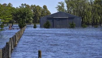 General Villegas: "Toda la actividad agrícola está afectada por el agua"