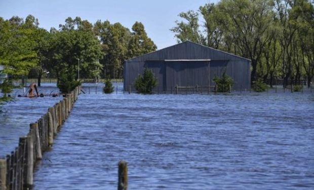 El 60% de la superficie de General Villegas está afectada por las inundaciones desde hace 20 meses.