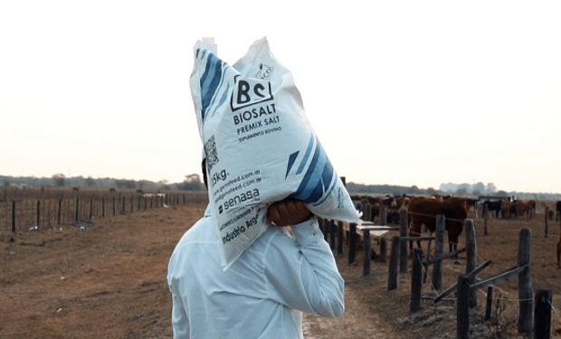 Más kilos de carne a un precio más barato: el innovador suplemento que busca revolucionar a la ganadería