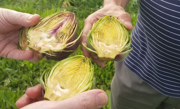 El superalimento que pasó de moda porque “las abuelas dejaron de cocinar”