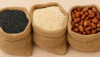 Pulses prometem rentabilidade maior como opção de 3ª safra em Mato Grosso