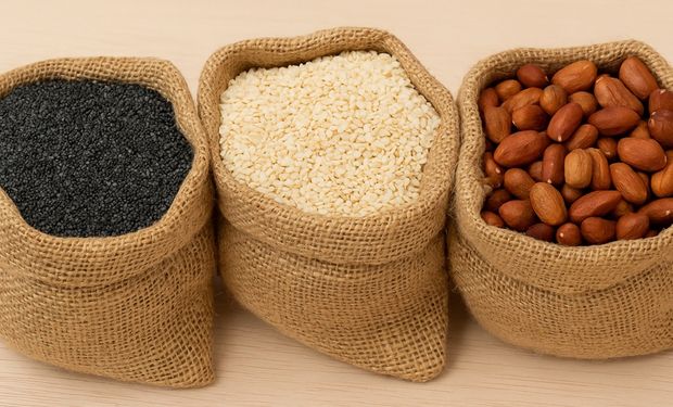 Pulses prometem rentabilidade maior como opção de 3ª safra em Mato Grosso