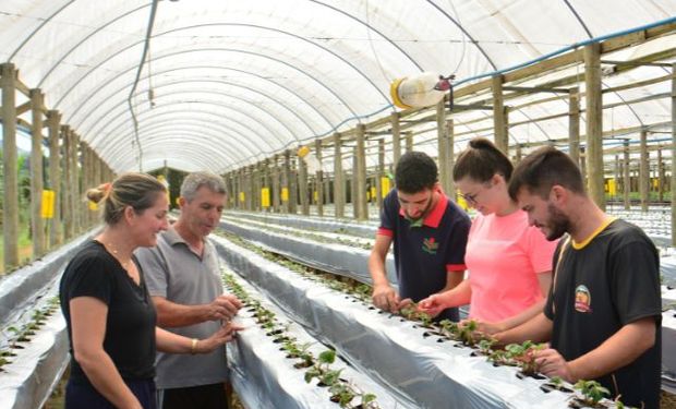 Políticas públicas viabilizam mais de 28 mil investimentos nas propriedades rurais catarinenses desde 2019. (foto - Epagri)