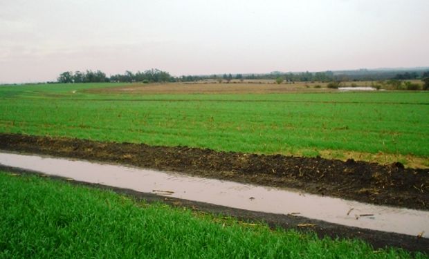 El agua y la temperatura definen los rindes en el agro.