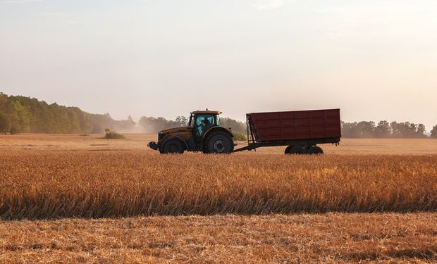 Ficou claro: o Brasil vai liderar o mercado mundial de alimentos, fibras e bioenergia