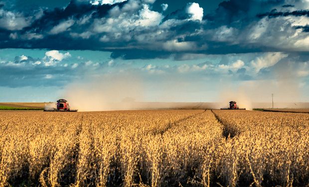 Balanço do mercado agro em 2021. Por Vanessa Sabioni