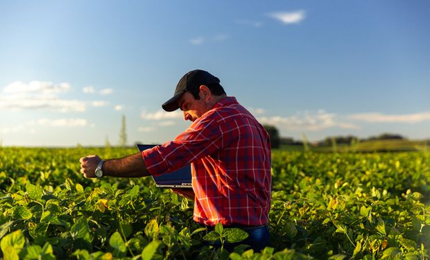 O ano de altas e baixas no agro, mas, mesmo assim, histórico